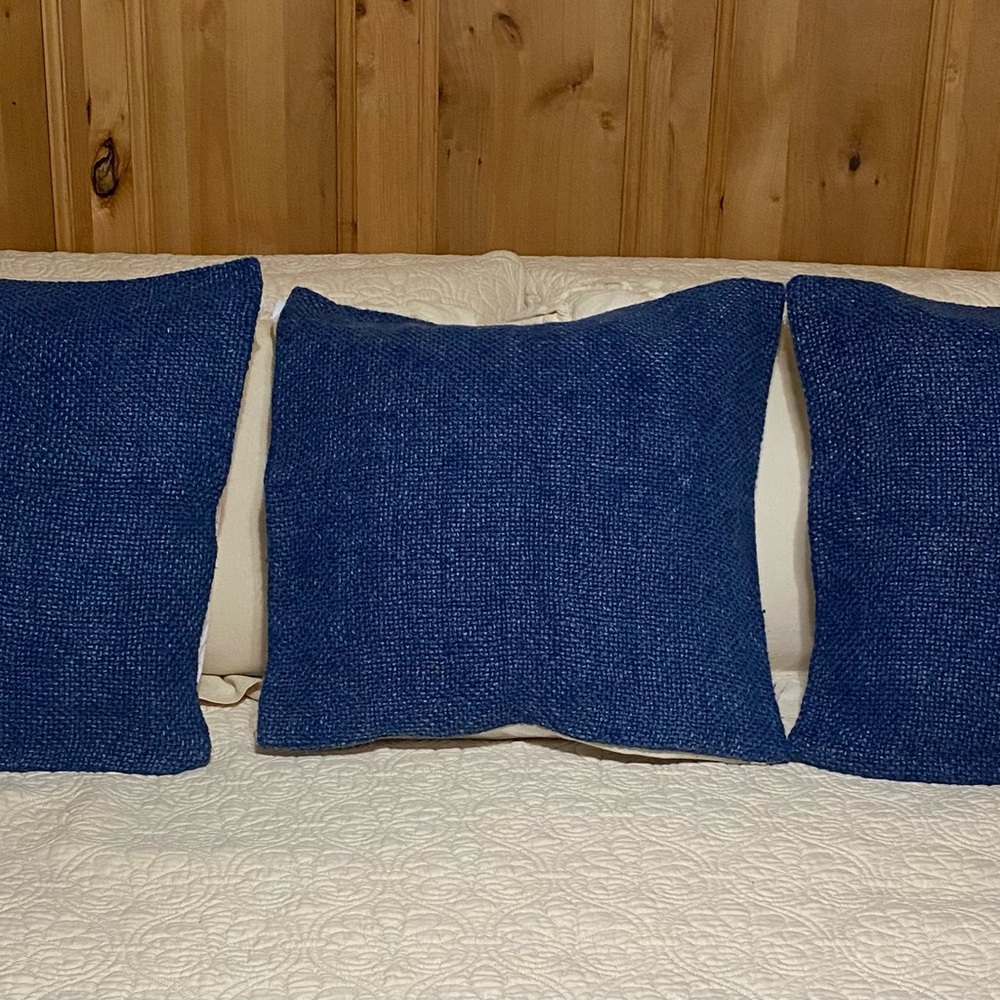 Pottery Barn Blue Faye Accent Pillows set of 3   20” x 20”